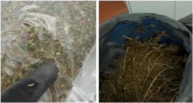ערנות הסיירים הביאה לתפיסת סם בשווי חצי מיליון ש'