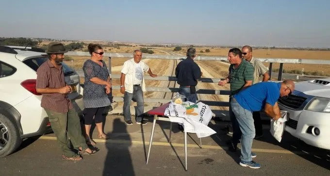 הדגיגונים יילחמו ביתושים