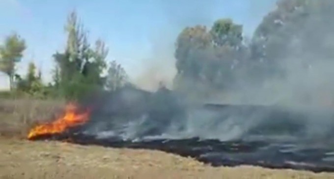 הנגב עולה באש, אבל צה''ל לא מגיב כבר ארבעה ימים