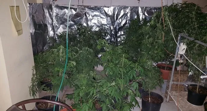 אולם השמחות הנטוש בב''ש הפך לחממת מריחואנה