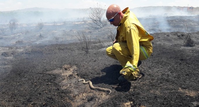 5 שריפות בעוטף: ''מנסים להסתיר את האמת מהציבור'', טוענים תושבים