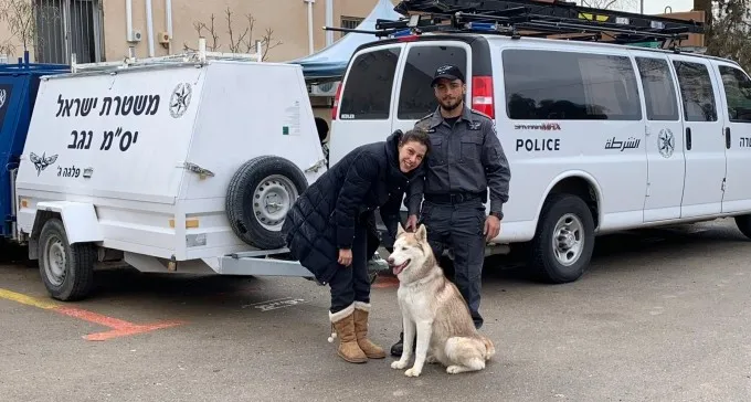כלב ההאסקי שנעלם לתושבת המרכז - נמצא בערוער