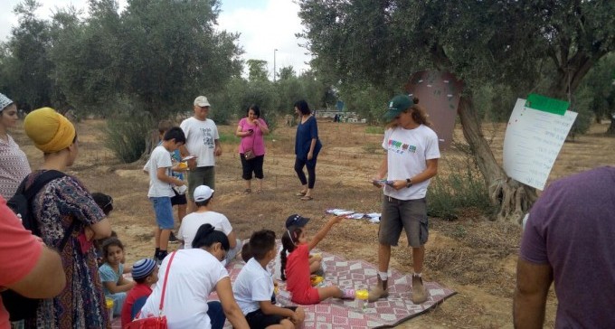 מאות מבקרים במסיק השנתי של קק