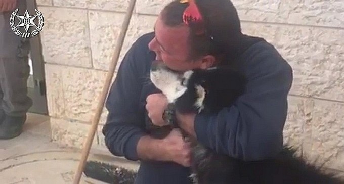 מרגש: הכלב האבוד אותר בתל שבע, שמע את המנגינה של ''שמש'' - ובכה
