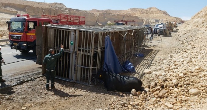 תוך בוקר אחד: שלוש תאונות בכבישי הנגב