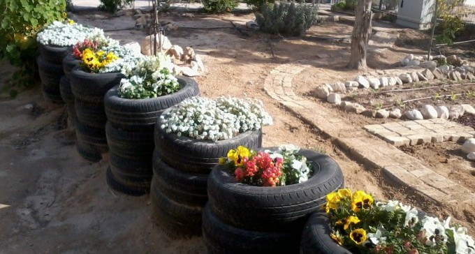 חוגגים ט''ו בשבט בגינות הקהילתיות בב''ש