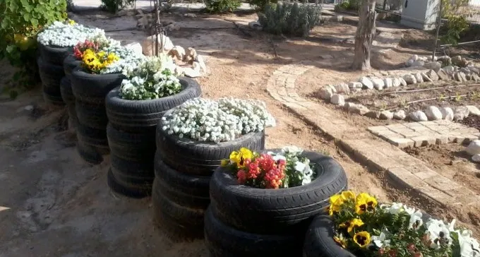 חוגגים ט''ו בשבט בגינות הקהילתיות בב''ש