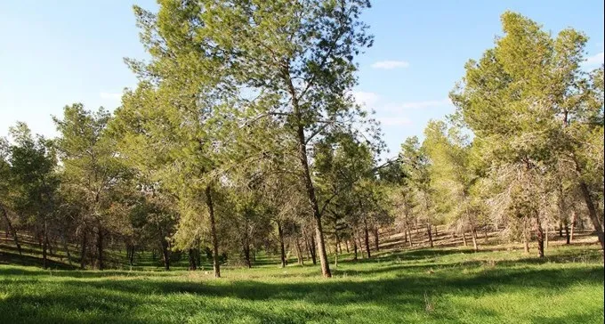 יום הניקיון הבינלאומי לשנת 2016