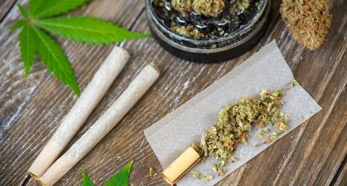 ניירות הגלגול הטובים לשנת 2022