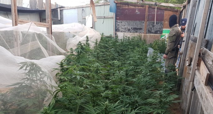 צפו: סמים, נשק ובז - עשרות לוחמי מג''ב פשטו על תל שבע