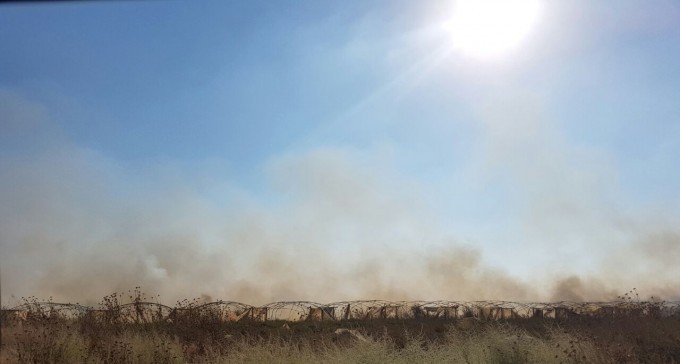 שריפת קוצים בין שרשרת למלילות