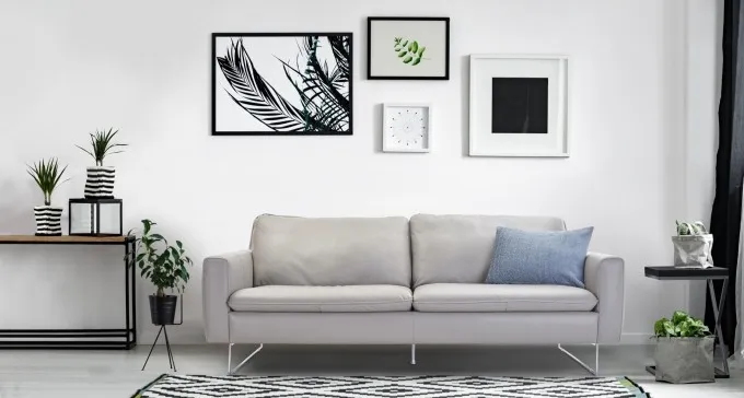 בלאק פריידי בדיזיין פלוס