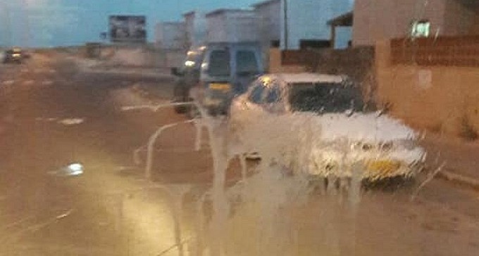 חוטפים ביצים ואבנים: למה נהגי אוטובוס מותקפים בפרויקט באופקים?