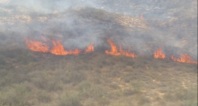 קונדומים ופחיות ריקות: צפו ב''קומנדו הבלונים'' של החמאס