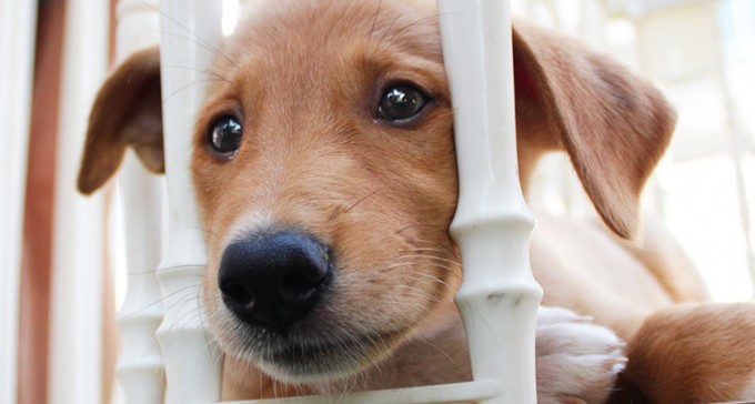 נידונים למוות בבאר שבע