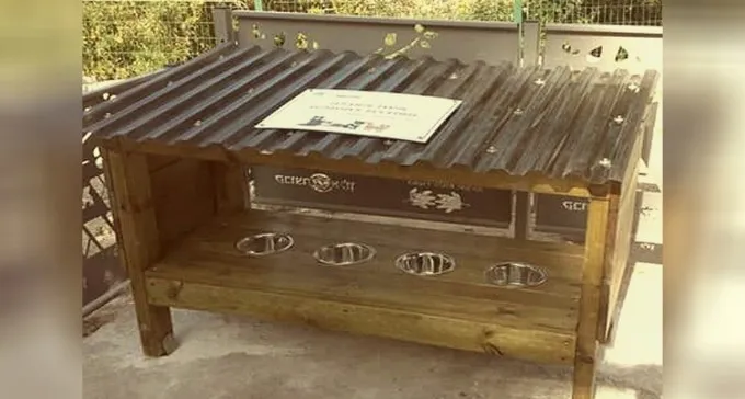 נחנכו פינות האכלה לחתולים בעיר העתיקה ובשכונה י''א