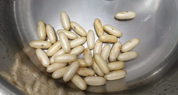 צעיר מנתיבות נתפס בנתב''ג כשבגופו ''זרגים'' שהכילו 400 גר' קוק