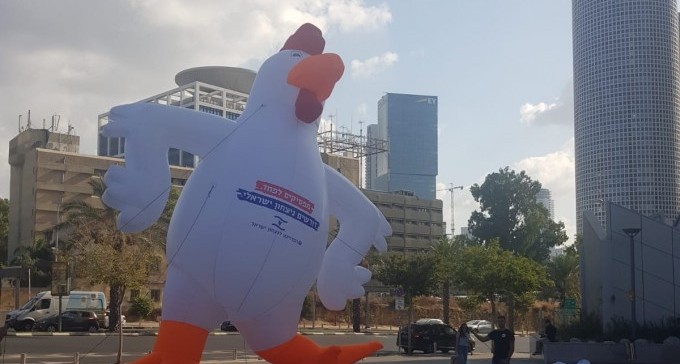 מחאת הנגב על אבדן ההרתעה של צה''ל: תרנגול ענקי בפתח בסיס הקריה