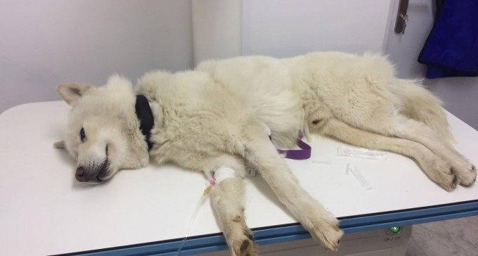 מה קורה בהסגר העירוני? 