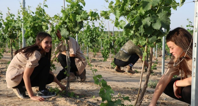 מנציחים את סמל רון יצחק קוקיא ז''ל - בעבודת אדמה