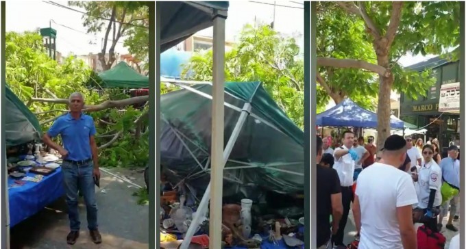 5 פצועים בקריסת עץ במדרחוב בבאר שבע