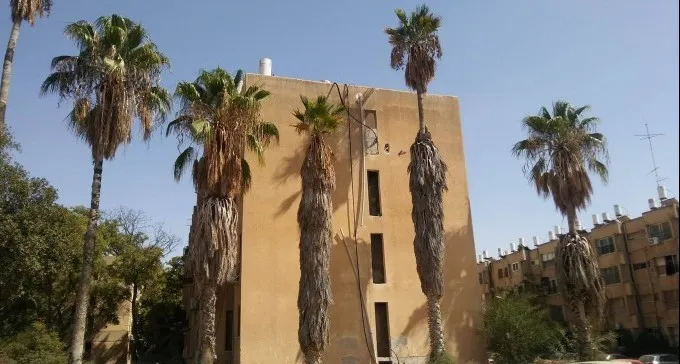 החלטה של הרגע האחרון? שימו לב: גיזום עצי הדקל יתקיים גם השנה