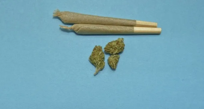 הסדרת השימוש בקנאביס אושרה בקריאה טרומית