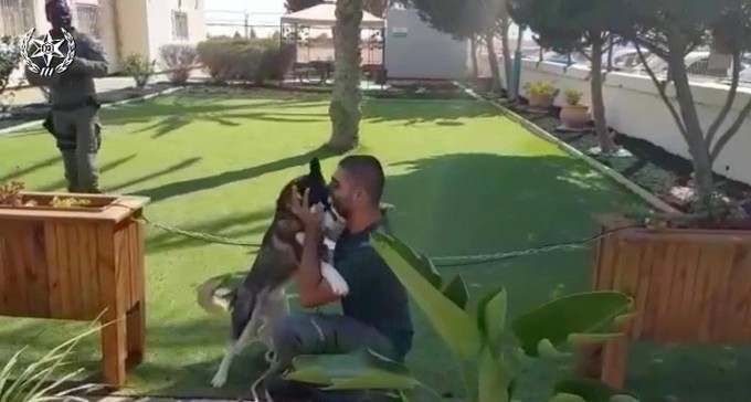 צפו: הכלבה שנגנבה מב''ש אותרה בתל שבע והוחזרה לבעליה