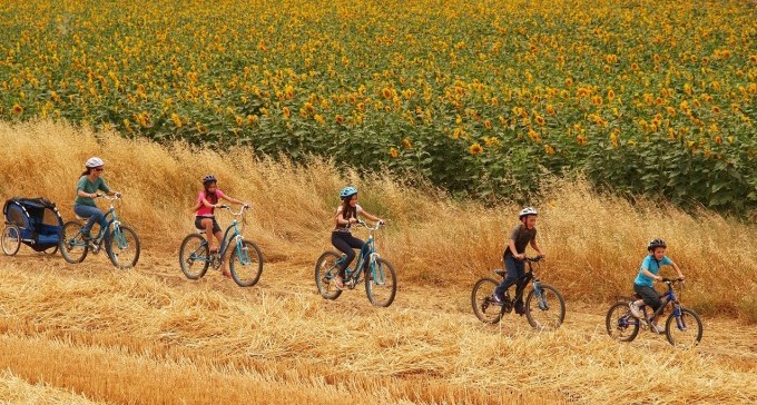 לא רק ב''ש: איפה יש עוד בילויים בנגב?