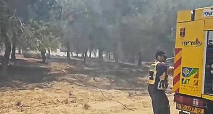 טרור ההצתות: 3 דליקות ביער כיסופים, ישראל תחדש הזרמת הכסף לחמאס