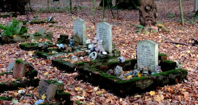 כשחבר נפטר, לא משליכים אותו לפח