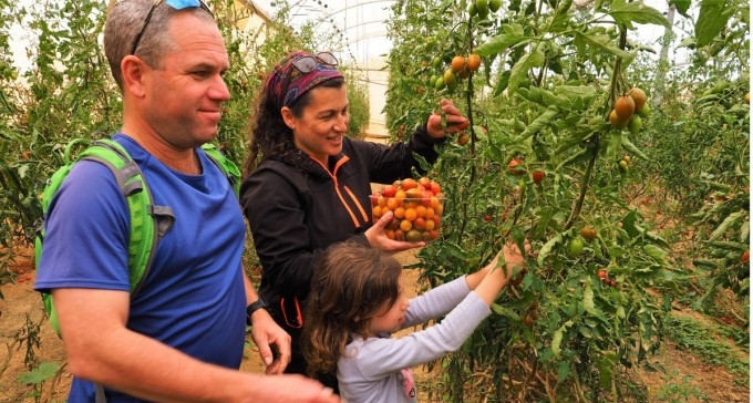 אטרקציות לכל המשפחה - בפסטיבל המשקים הפתוחים בפתחת ניצנה