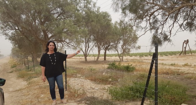 אחרי עשורים של טרור גמלים משוטטים ... הוקמה גדר באורך 3 ק''מ