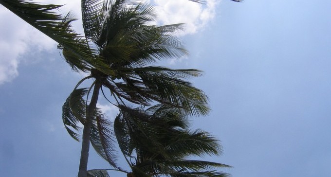 קצת גשום, אביך וקר: חנוכה חורפי בנגב