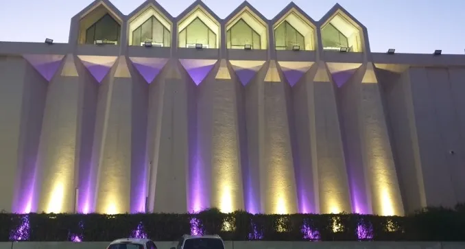 בניין 'יד לבנים' הואר בוורוד לרגל חודש המודעות לסרטן השד