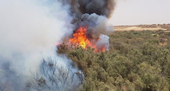 בדקות האחרונות: שתי שריפות גדולות בנגב הצפוני