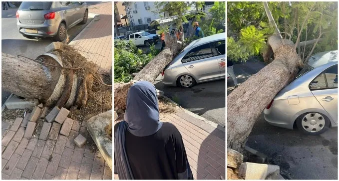 קארין סיימה לפזר את הילדים - ועץ מחץ את רכבה