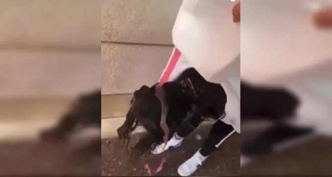 תיעוד מזעזע: תלמידות שופכות חומר ניקוי על ראש חברתן