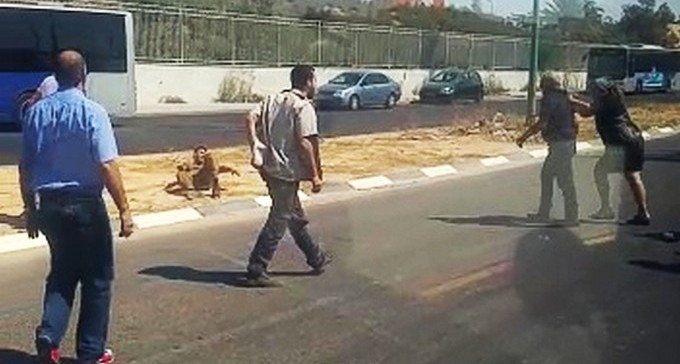 צפו בתיעוד: חייל הוכה ונפצע סמוך לאיצטדיון טרנר