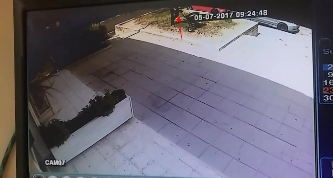 מי פיזר כמויות של חומר רעיל מסביב למרפאה וטרינרית - ולמה?