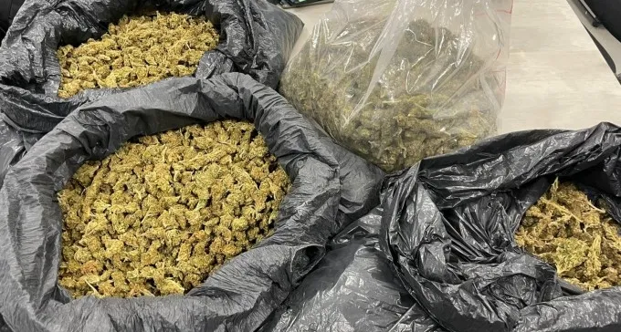 שוטרים יירטו ''קו קנאביס''