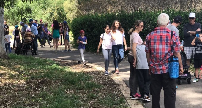 אלפי מטיילים גדשו את הפארקים בנגב