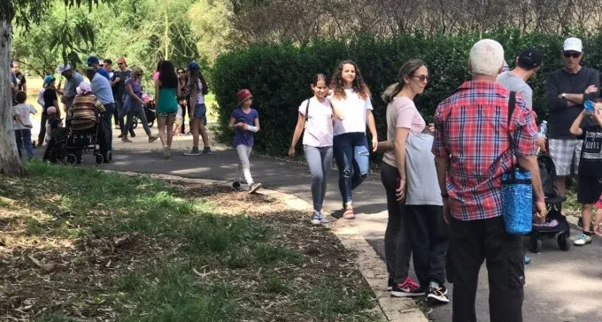 אלפי מטיילים גדשו את הפארקים בנגב