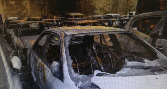 נעצרו חשודים בהצתת גרר זאב