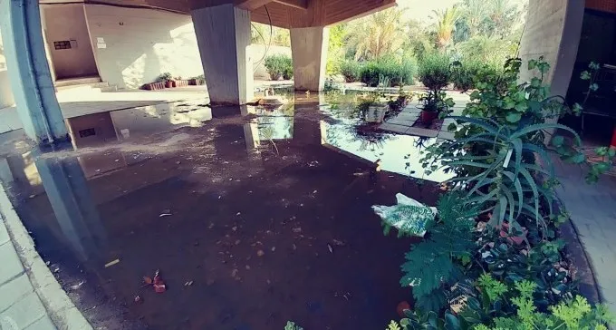 טובעים בביוב: דיירי רח' יעלים 18 מתקשים להתמודד עם נחלי מי שופכין