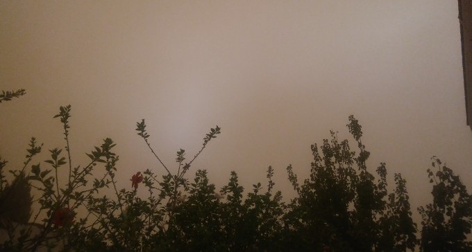 הסערה הגדולה: צילומים וסרטונים עם הרבה רוח וגשם