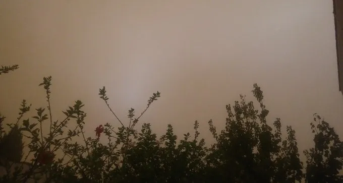 הסערה הגדולה: צילומים וסרטונים עם הרבה רוח וגשם
