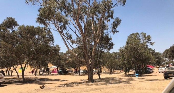 נמשך מעצרם של מארגני מסיבת הטבע בצומת גורל