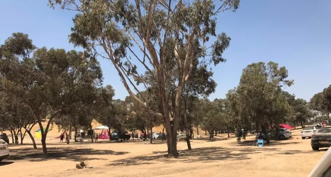 נמשך מעצרם של מארגני מסיבת הטבע בצומת גורל