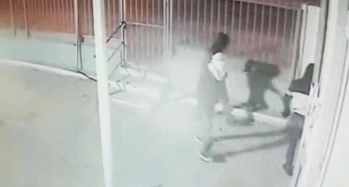 צפו: הרוע בהתגלמותו - רעולי פנים גונבים ומשחיתים את צער בעלי חיים